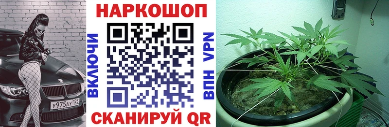 Все наркотики Кашира Конопля  ОМГ ОМГ ССЫЛКА  ГАШИШ  МЕФ  APVP  ТГК 