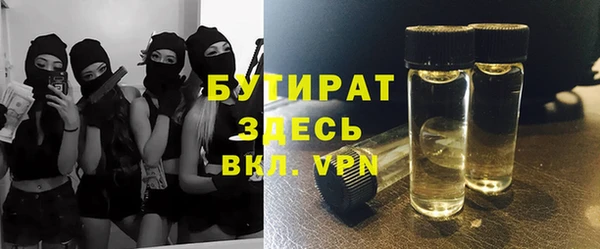 гидра Горняк
