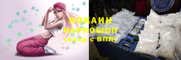 гидра Горняк