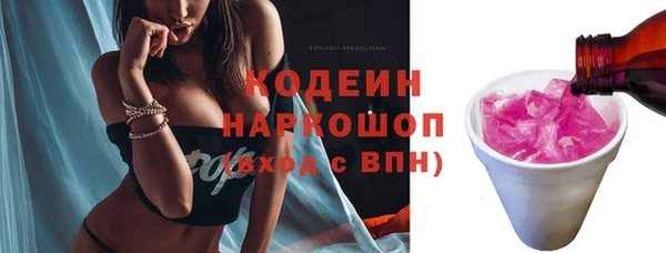 гидра Горняк