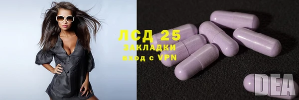 гидра Горняк