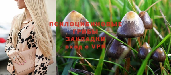 кокаин Горнозаводск