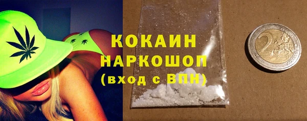 гидра Горняк