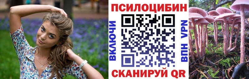 гидра ссылки  Кашира  Галлюциногенные грибы Cubensis 