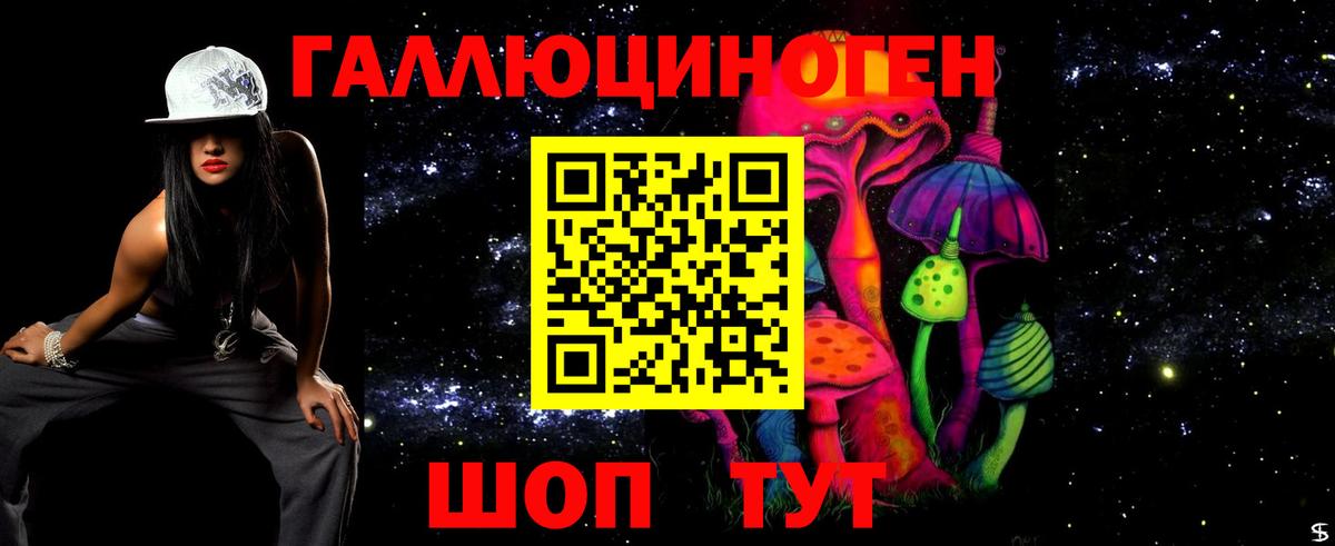 Кашира  Галлюциногенные грибы GOLDEN TEACHER  Вход с VPN 