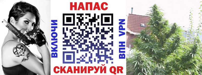 нарко площадка клад  Кашира  Конопля Ganja 
